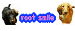 ROOT SMILE